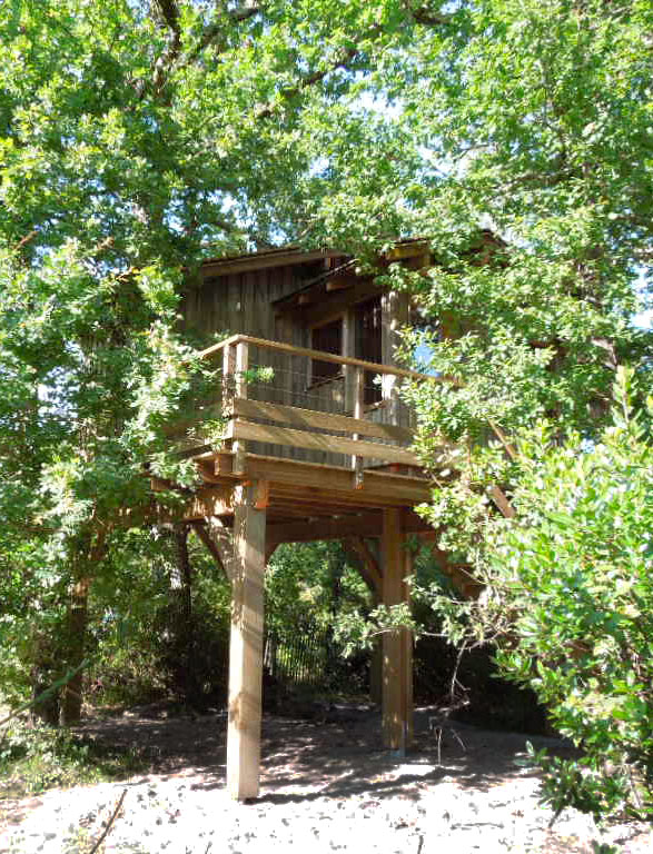 cabane dans le feuillage