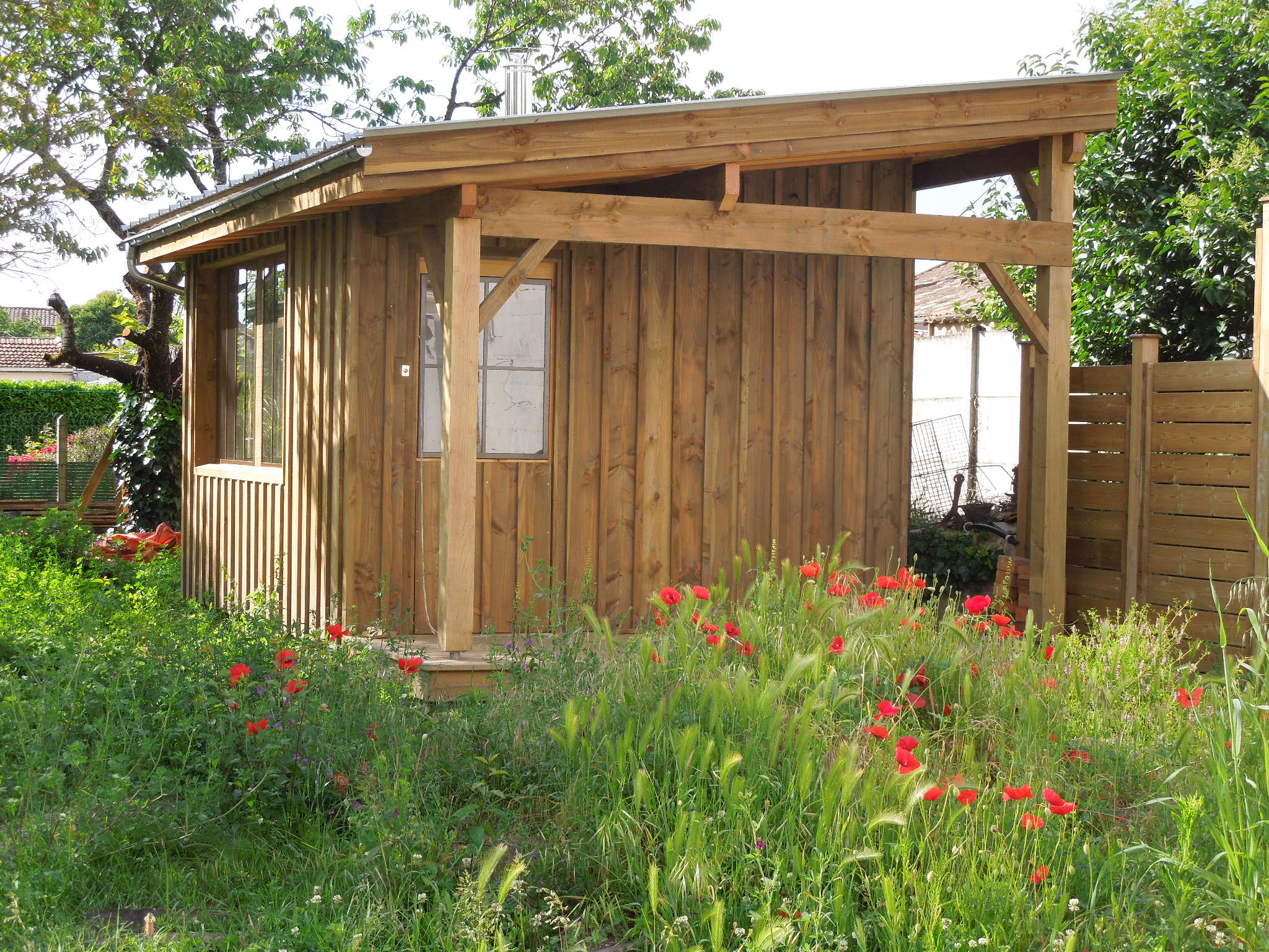 extension coquelicots